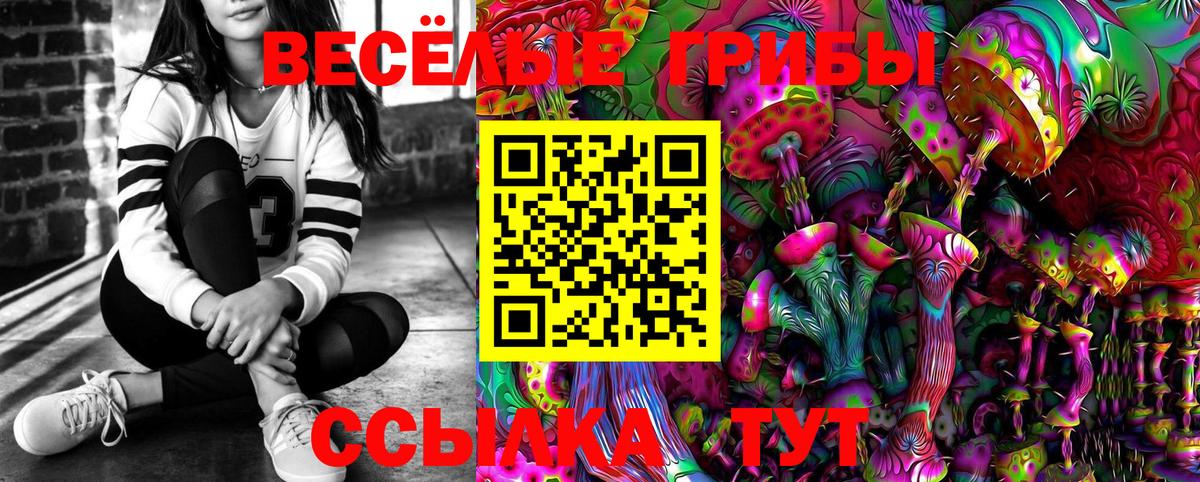 Тельмана  Галлюциногенные грибы GOLDEN TEACHER  Вход с VPN 